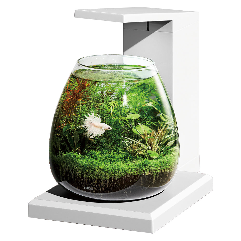 GEX Aqua Perco (USB Glass tank)