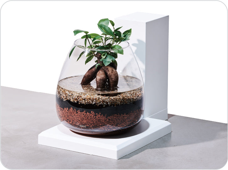 GEX Aqua Perco (USB Glass tank)