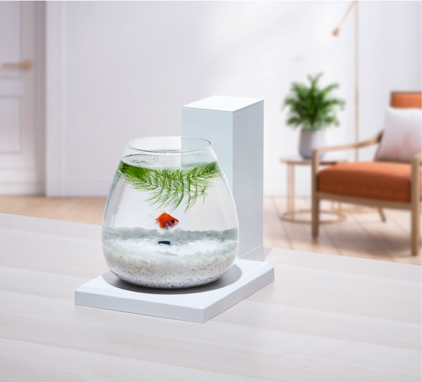 GEX Aqua Perco (USB Glass tank)