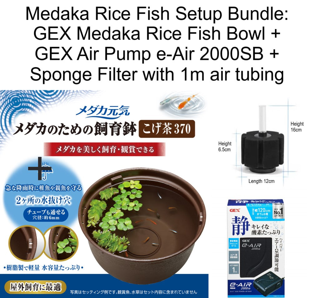 GEX Medaka Rice Fish 37cm Plastic Bowl/Pot Bundle
