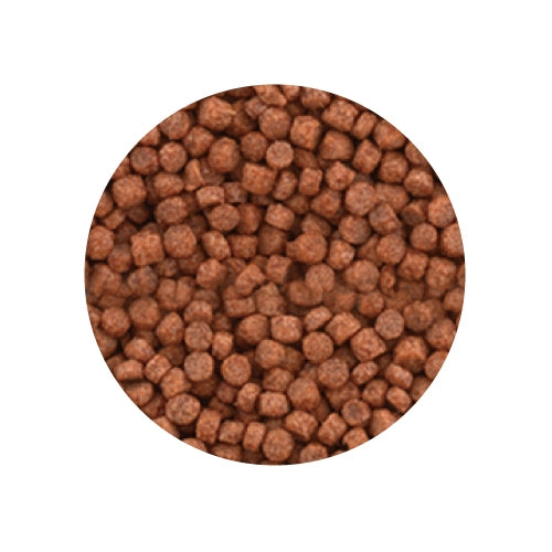 Bundle Pack: Tetra Betta 100ml/27g + GEX Betta Food 20g