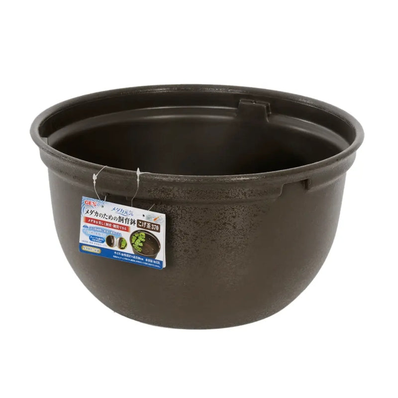 GEX Medaka Rice Fish 37cm Plastic Bowl/Pot Bundle